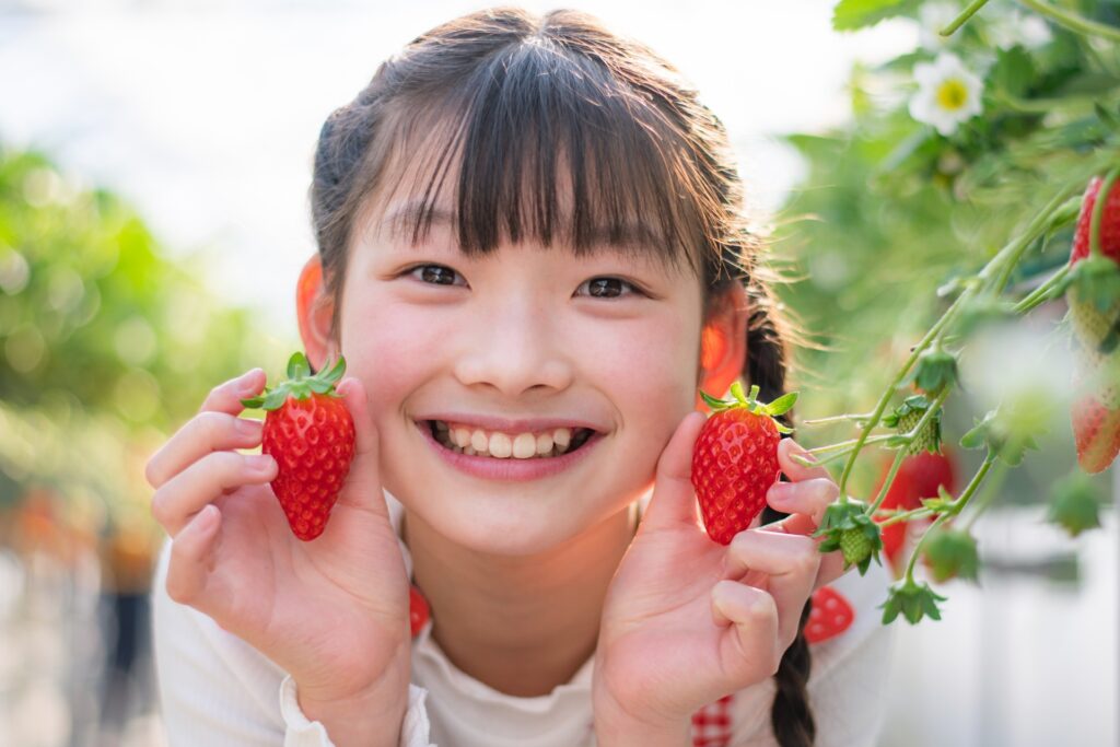 ノウタス　果物狩り　いちご　いちご狩り