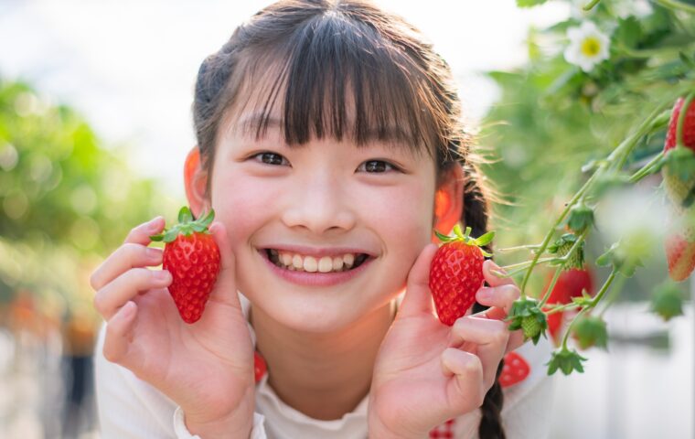 ノウタス　果物狩り　いちご　いちご狩り　ノウタスライフ