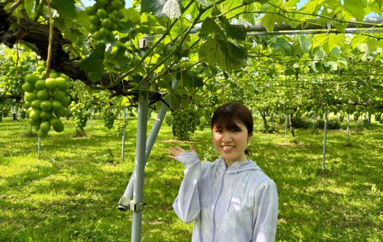 ノウタス　農業体験　岡木農園　ノウタスライフ