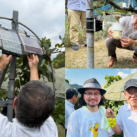 ペロブスカイト 太陽電池 ノウタス 宮坂教授　ノウタスライフ