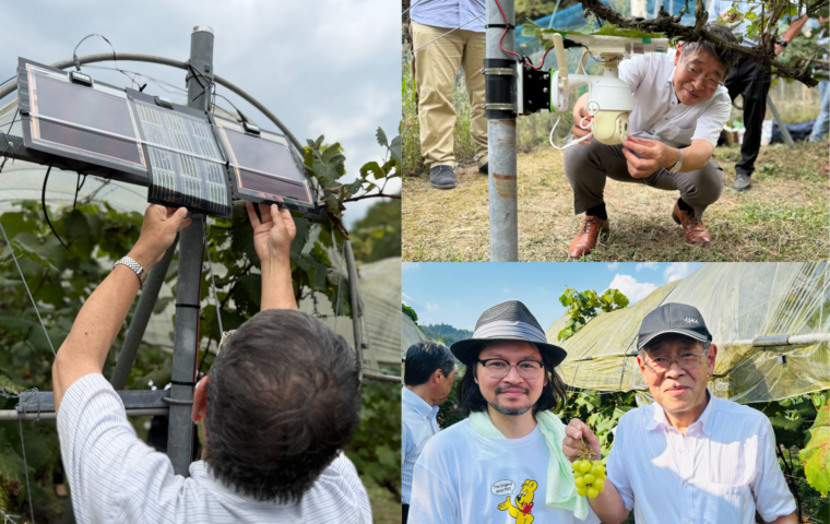 ペロブスカイト 太陽電池 ノウタス 宮坂教授　ノウタスライフ