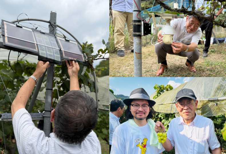 ペロブスカイト 太陽電池 ノウタス 宮坂教授　ノウタスライフ