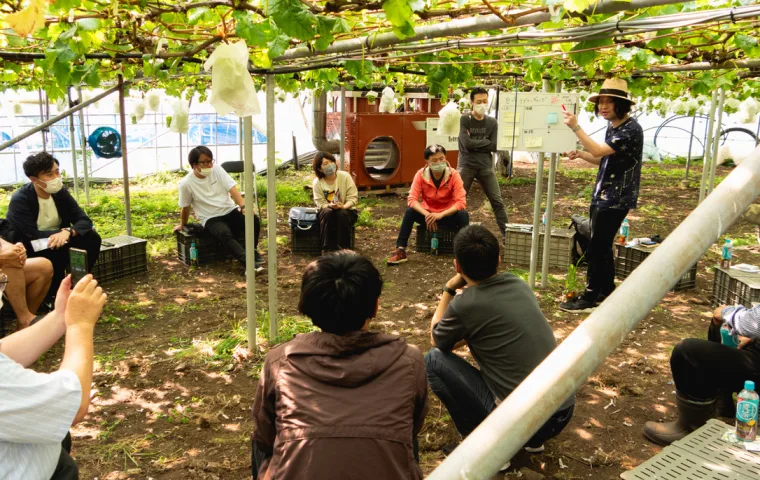 ノウタス　コンサル