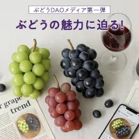 ノウタス　ぶどうDAO