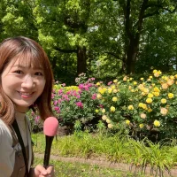 ノウタス　お天気　天気予報　坂口愛美