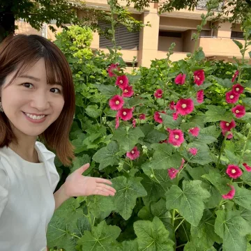 ノウタス　お天気　天気予報　坂口愛美