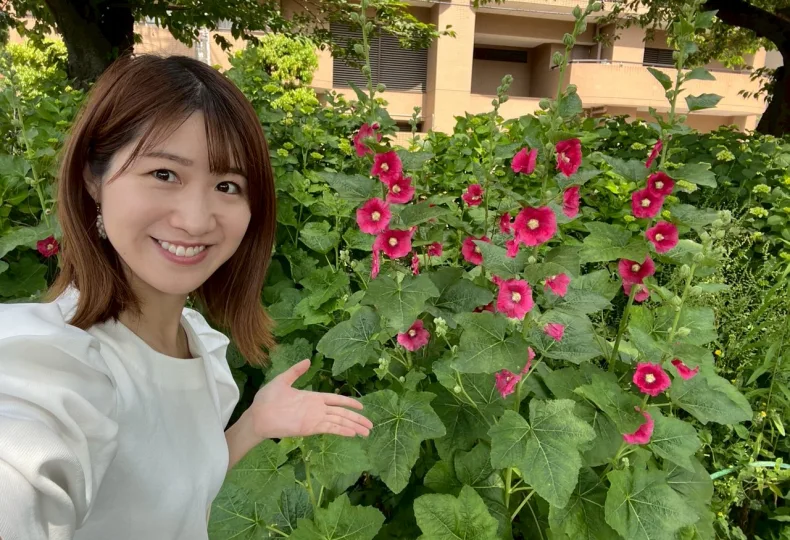 ノウタス　お天気　天気予報　坂口愛美
