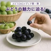 ノウタス　ぶどうDAO