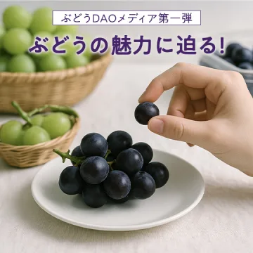 ノウタス　ぶどうDAO