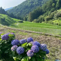 ノウタス　お天気　天気予報　坂口愛美