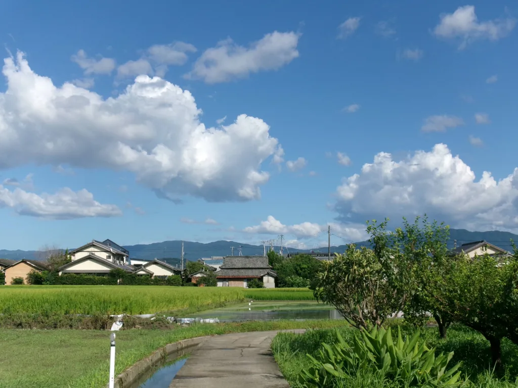 お遍路　ノマド　リモートワーク　ワーケーション　ノウタス