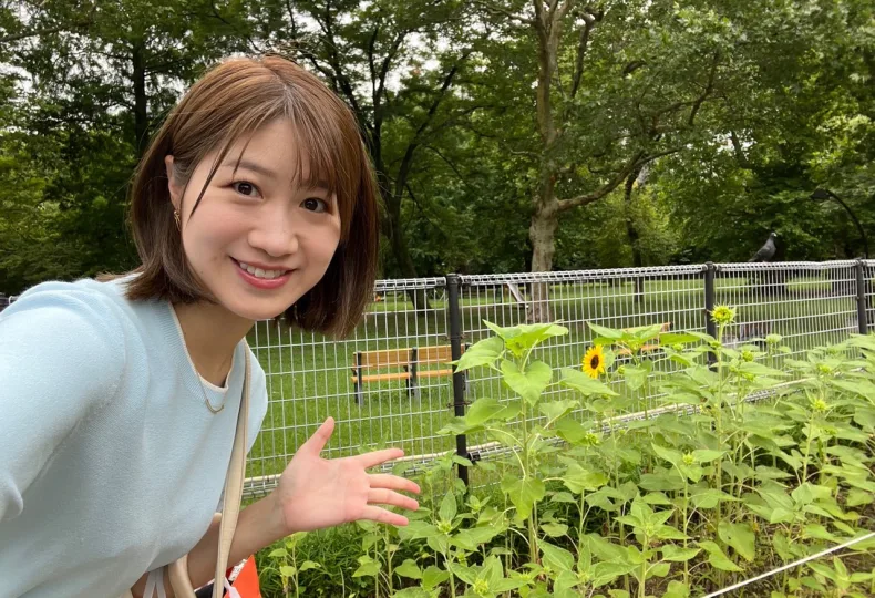 ノウタス お天気 天気予報 坂口愛美