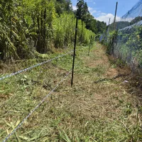 ノウタス　高槻農園　害獣対策　電気柵