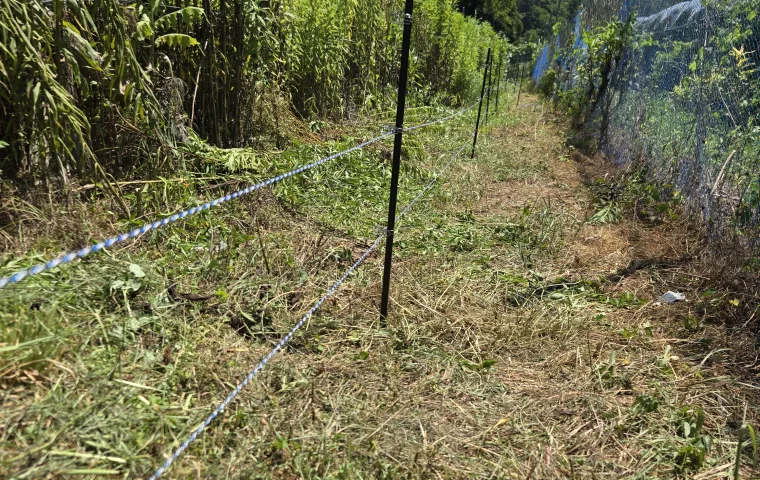 ノウタス　高槻農園　害獣対策　電気柵