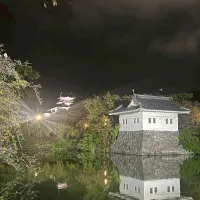 ノウタス　お天気　天気予報　坂口愛美