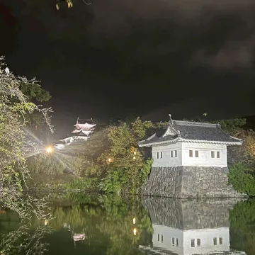 ノウタス　お天気　天気予報　坂口愛美