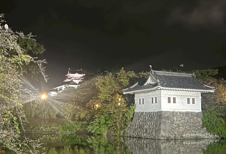 ノウタス お天気 天気予報 坂口愛美