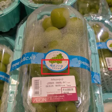 中国産　シャインマスカット　晴王