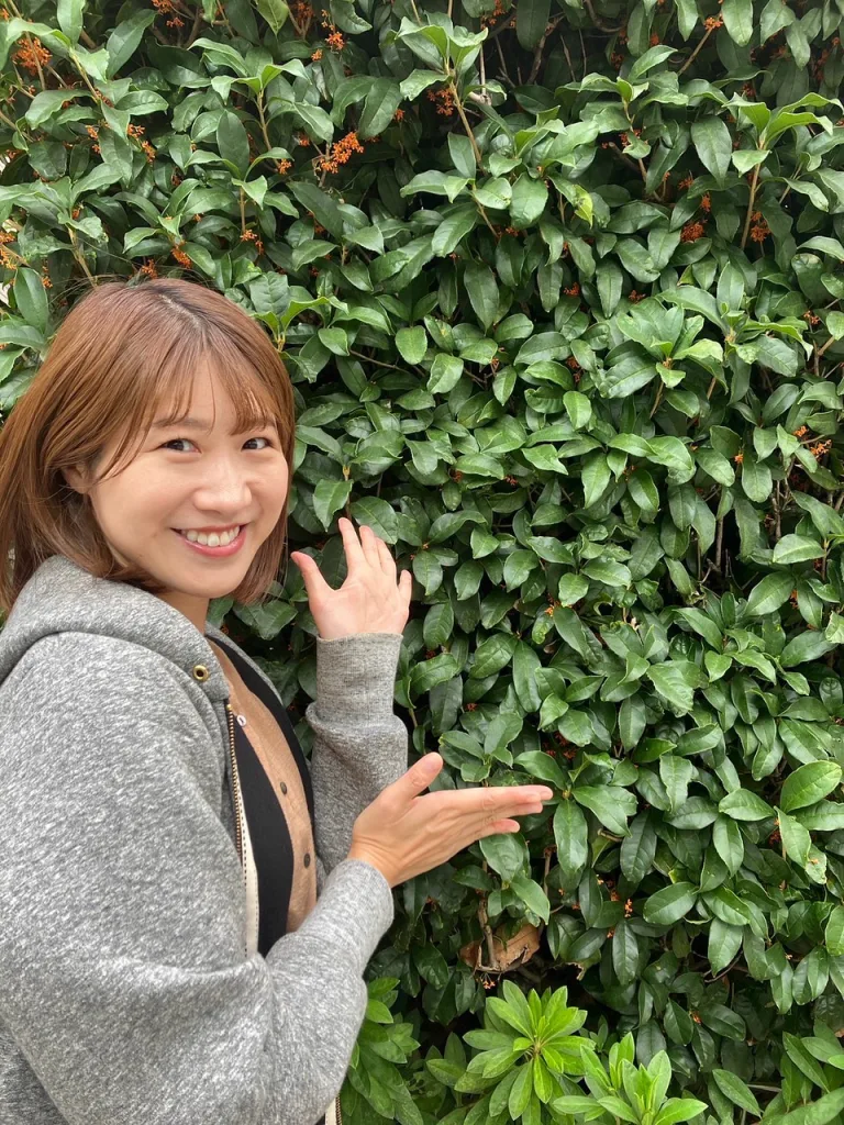 ノウタス お天気 天気予報 坂口愛美