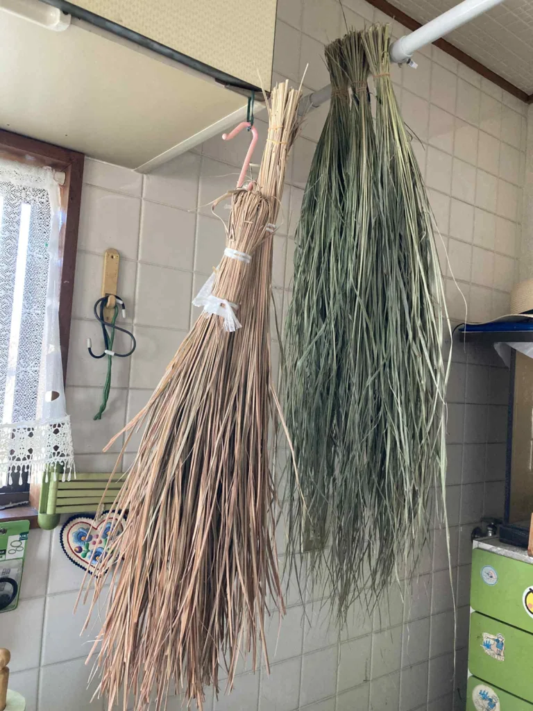 ノウタス　クリスマス　レモングラス