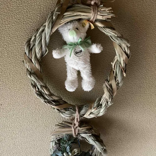 ノウタス　クリスマス　レモングラス