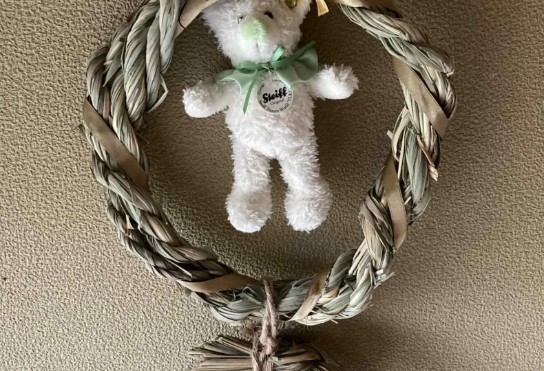 ノウタス　クリスマス　レモングラス