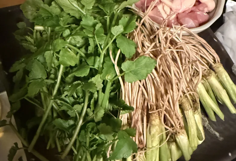 ノウタス　蔵の庄 総本店