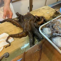 ノウタス 保乃家