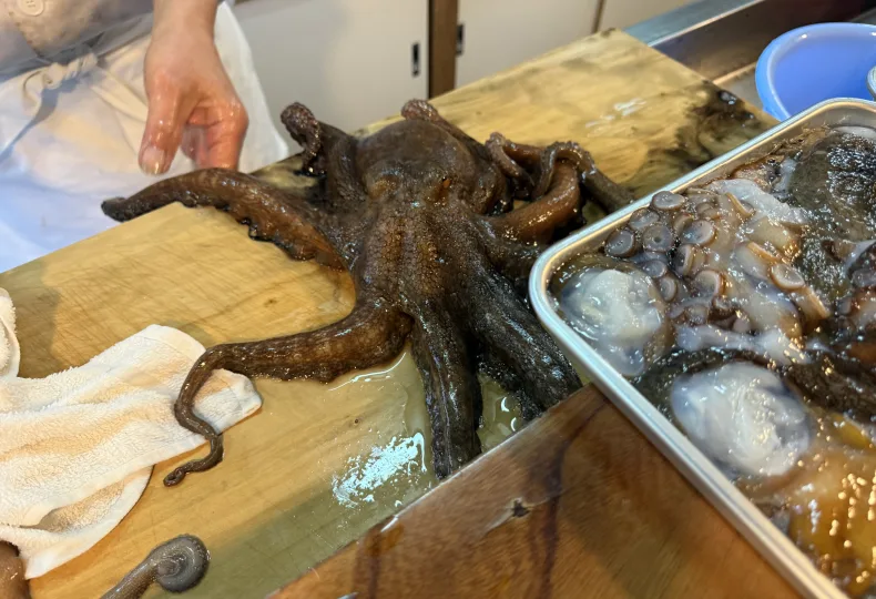 ノウタス 保乃家