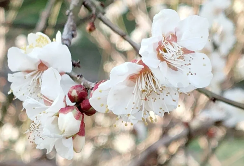 ノウタス　お天気　天気予報　坂口愛美