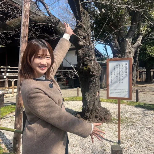 ノウタス　お天気　天気予報　坂口愛美