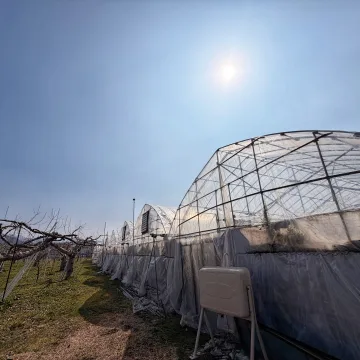ノウタス　植物工場