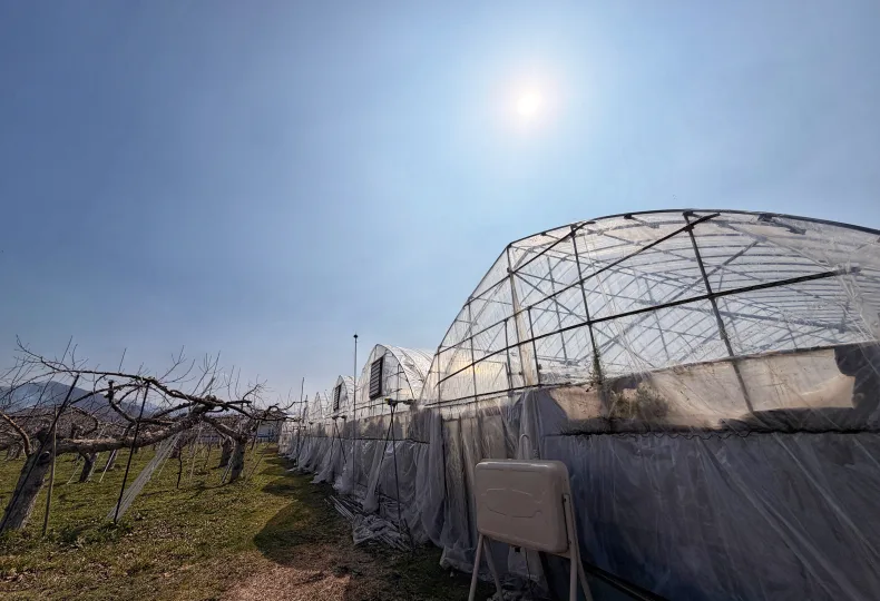 ノウタス　植物工場