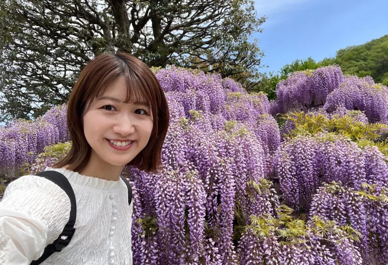 ノウタス　お天気　天気予報　坂口愛美