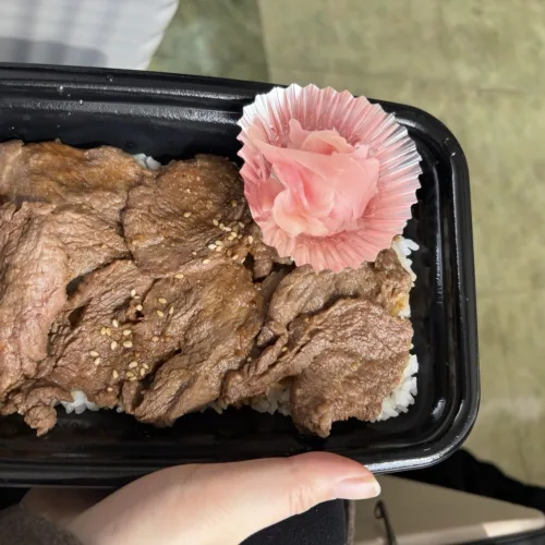 屋久島　ノウタス