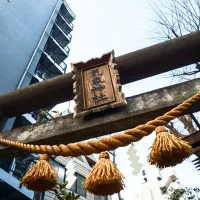 気象神社 ラジオ ノウタス