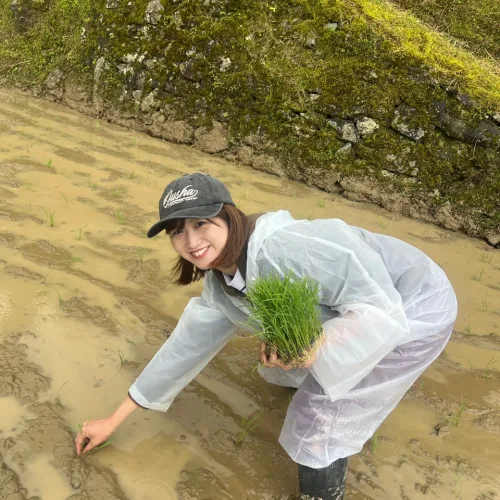 ノウタス　お天気　天気予報　坂口愛美