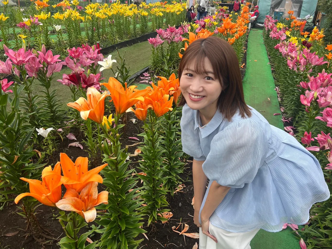 エルニーニョ現象の影響は？気象予報士 坂口愛美の週間天気予報（26年6月14日）