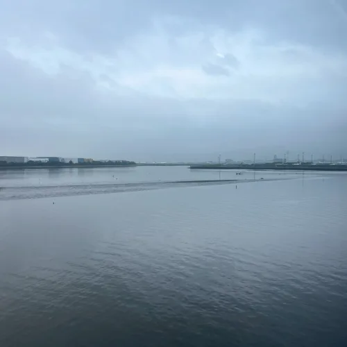 ノウタス　お天気　天気予報　坂口愛美