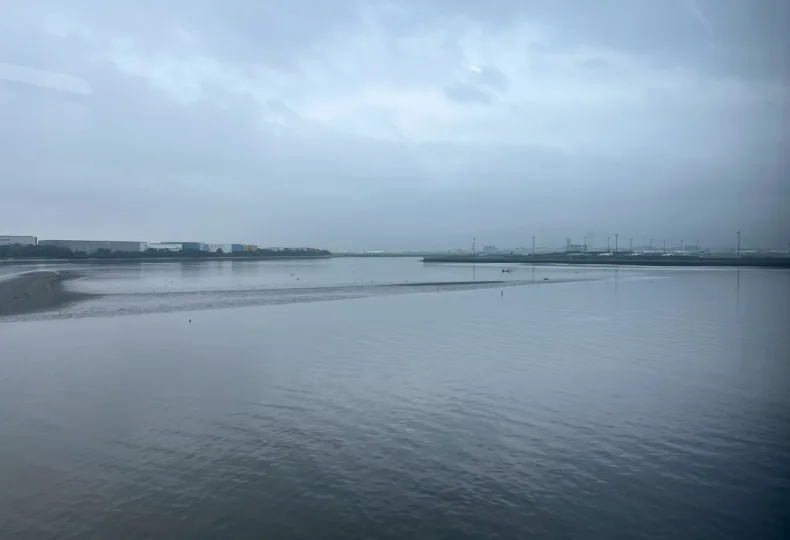 ノウタス　お天気　天気予報　坂口愛美