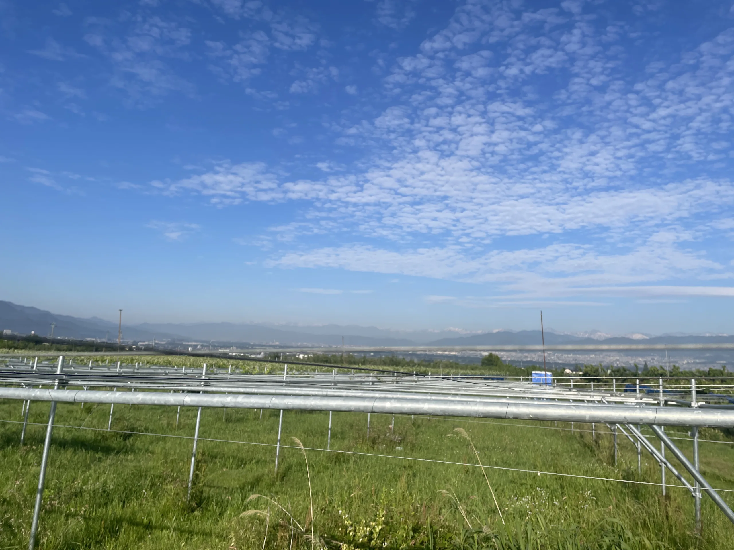 農家あるある。天気予報を信じているようで信じていない