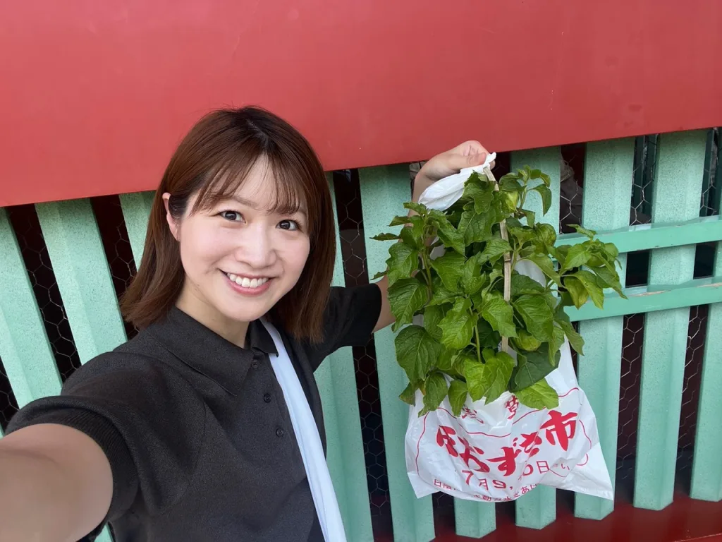 ノウタス お天気 天気予報 坂口愛美