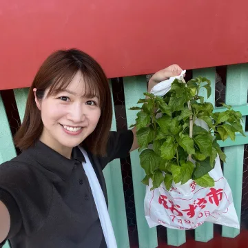 ノウタス　お天気　天気予報　坂口愛美