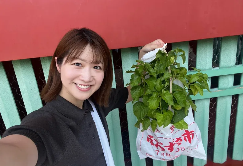 ノウタス　お天気　天気予報　坂口愛美