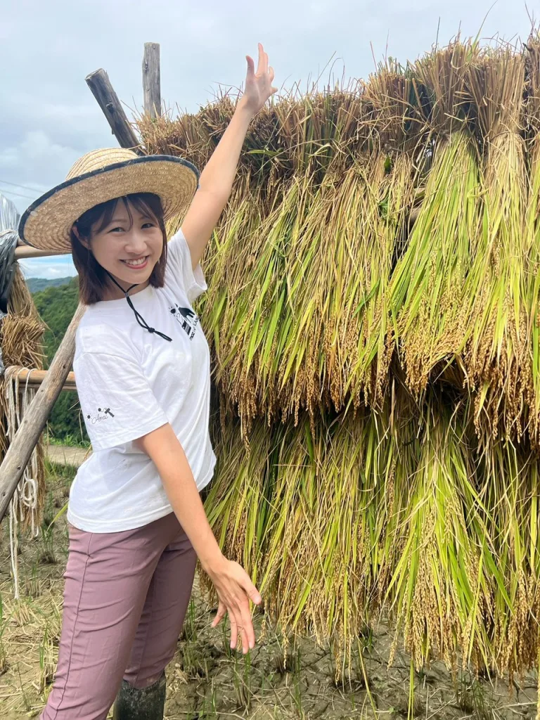 ノウタス　お天気　天気予報　坂口愛美