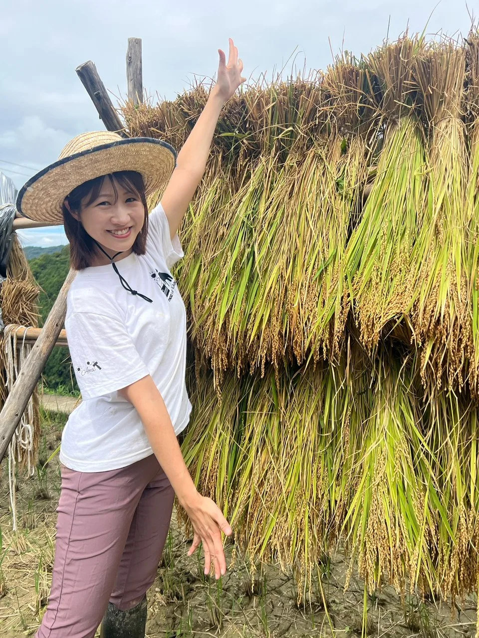 秋雨前線の北か南か。気象予報士 坂口愛美の週間天気予報（26年9月12日）