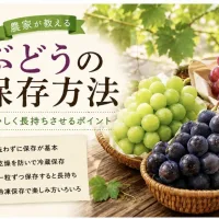 ぶどう　保存方法